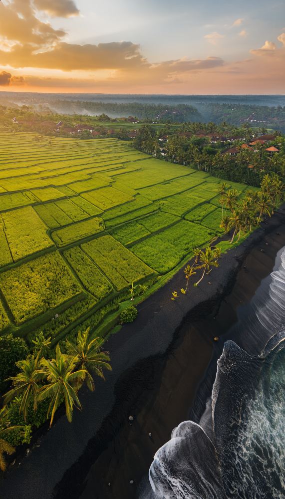 High Investment Potential & Value